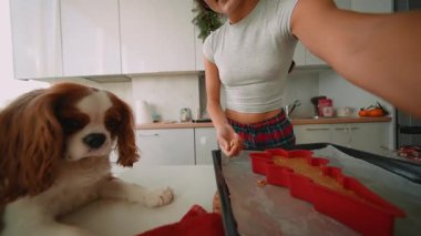 Beyaz kadın ve spanyel mutfak tezgahında, petdost canlısı pişirme sahnesi kırmızı silikon ağaç kalıbı, elleri hamuru düzenliyor.