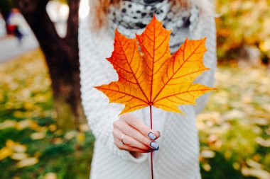 el ile sonbahar yaprak