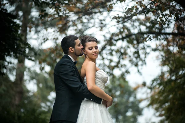 Groom embracing bride from back — Stock Photo, Image