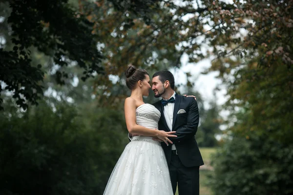 Schönes Hochzeitspaar posiert — Stockfoto