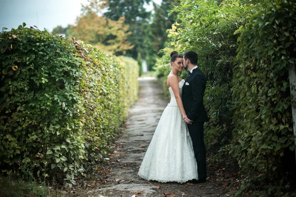 Schönes Hochzeitspaar posiert — Stockfoto