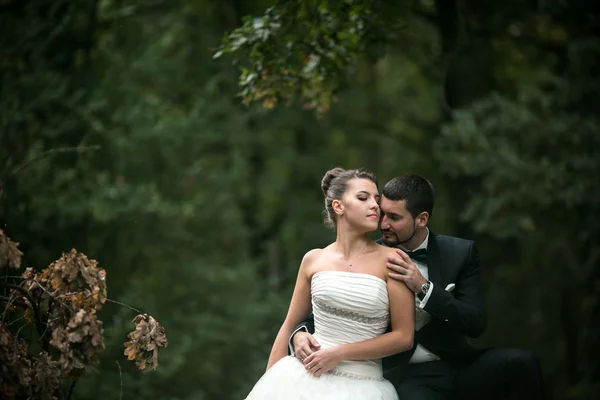 Hermosa pareja de boda sentada en el bosque — Foto de Stock