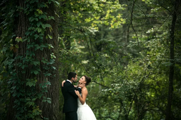 Casal lindo posando — Fotografia de Stock