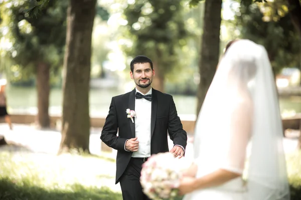 Bräutigam steht hinter der Braut — Stockfoto