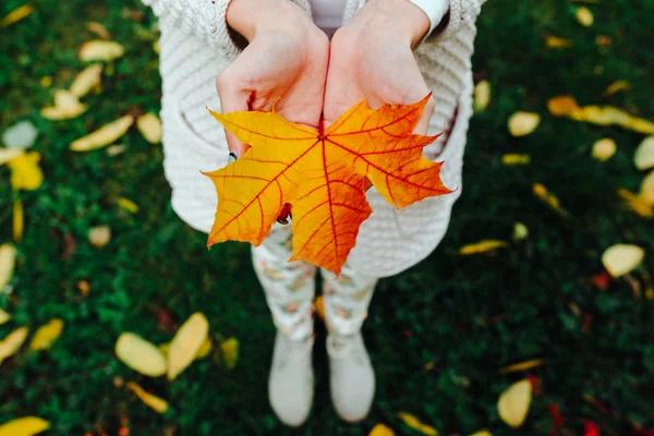 Hands with autumn leaf — Stock Photo, Image
