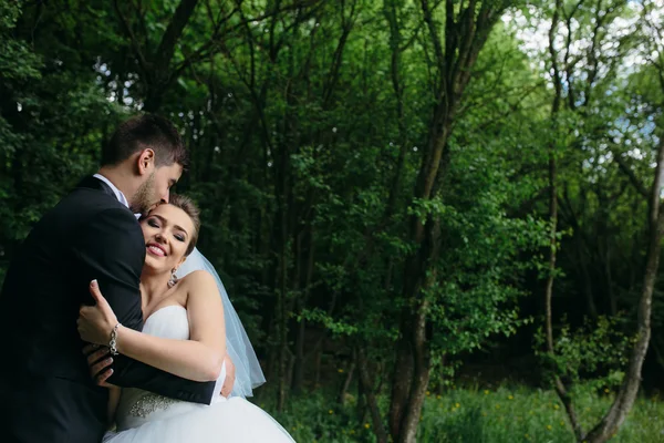 Schönes Hochzeitspaar in der Natur — Stockfoto