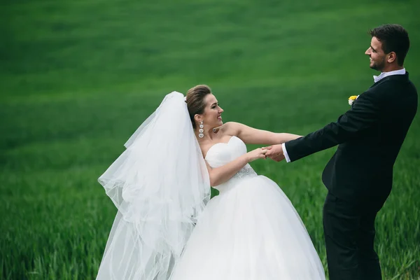 Hermosa pareja de boda en la naturaleza —  Fotos de Stock