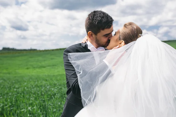 美丽的新婚夫妇在性质上 — 图库照片