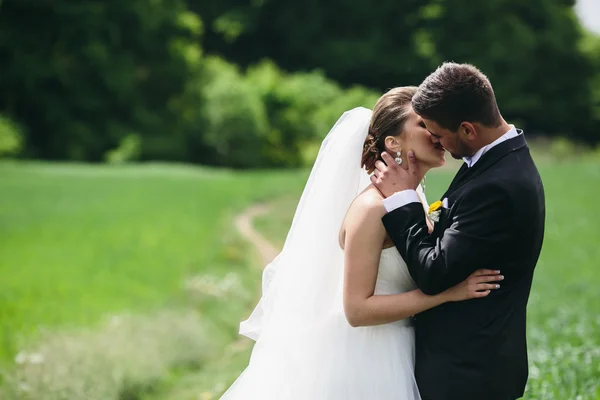 Hermosa pareja de boda en la naturaleza —  Fotos de Stock