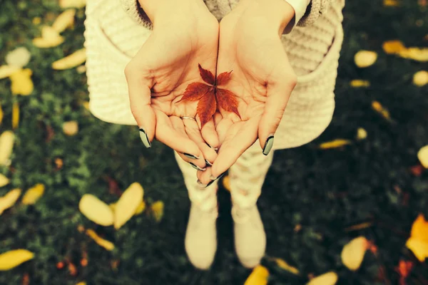 Sonbahar yaprakları kızların elinde — Stok fotoğraf