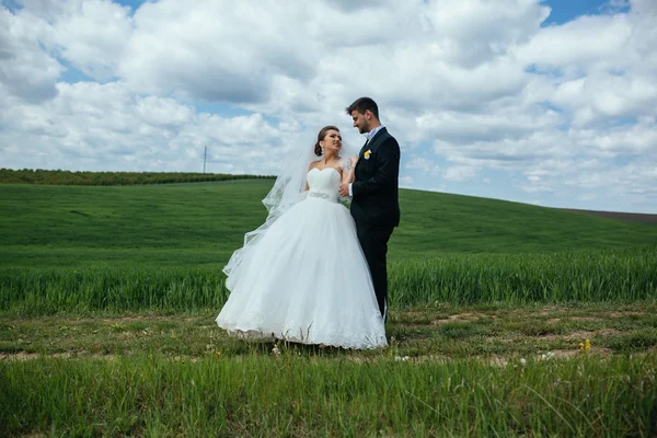 Schönes Hochzeitspaar in der Natur — Stockfoto