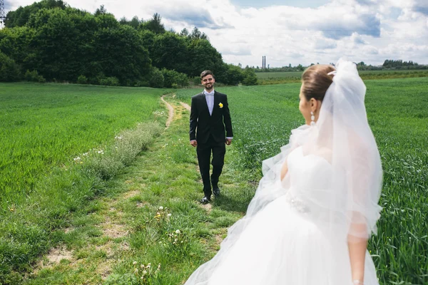 Güzel düğün çift doğa üzerinde — Stok fotoğraf