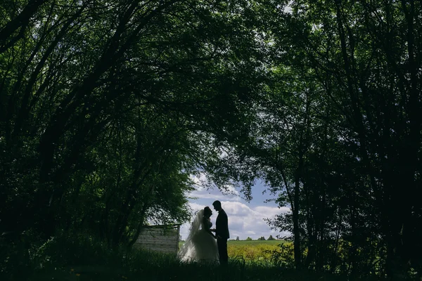 Güzel düğün çift doğa üzerinde — Stok fotoğraf