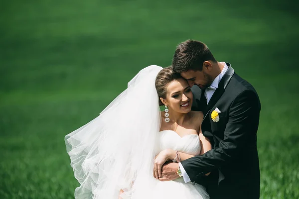 Casal bonito na natureza — Fotografia de Stock