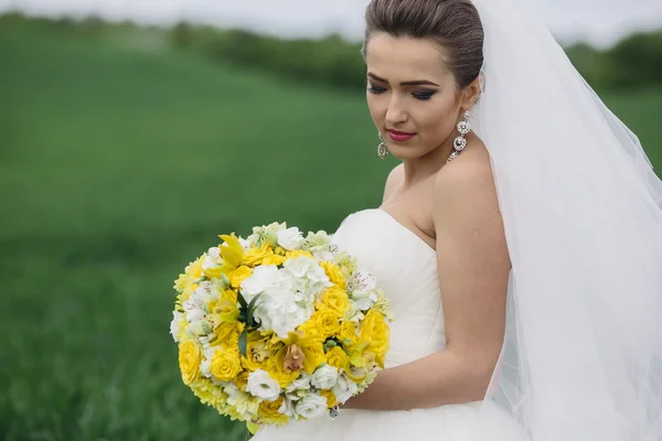 Güzel düğün çift doğa üzerinde — Stok fotoğraf