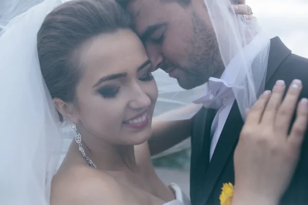 Novia y novio en la boda — Foto de Stock