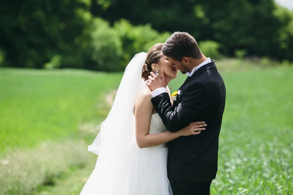 Beau couple de mariage sur la nature — Photo