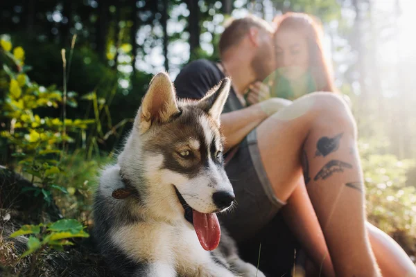 Hermosa pareja descansando en el bosque —  Fotos de Stock