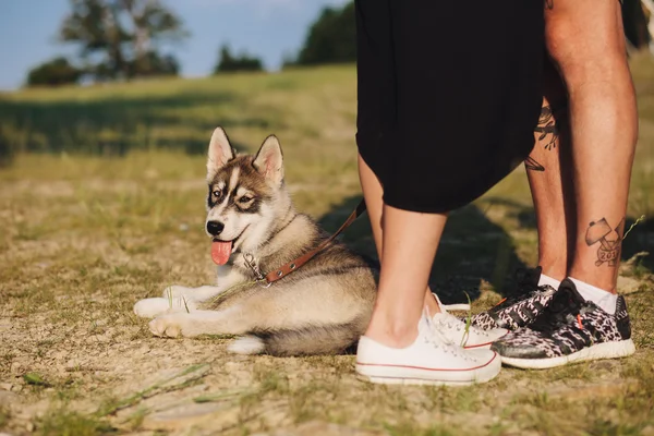 Foto av hunden nära masters — Stockfoto