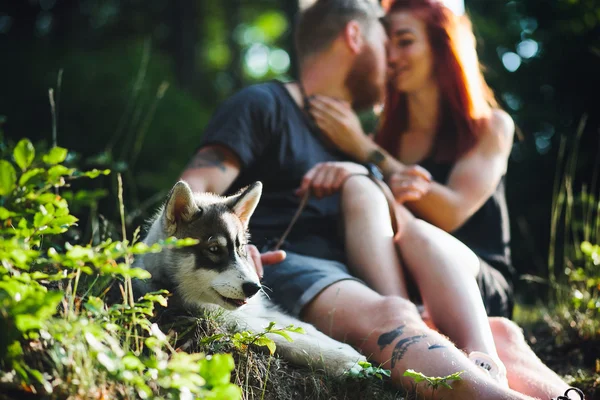 Nádherný pár sedí v lese poblíž stromu — Stock fotografie