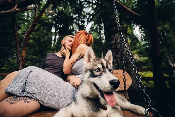 Belo par em conjunto com o cão em um balanço — Fotografia de Stock