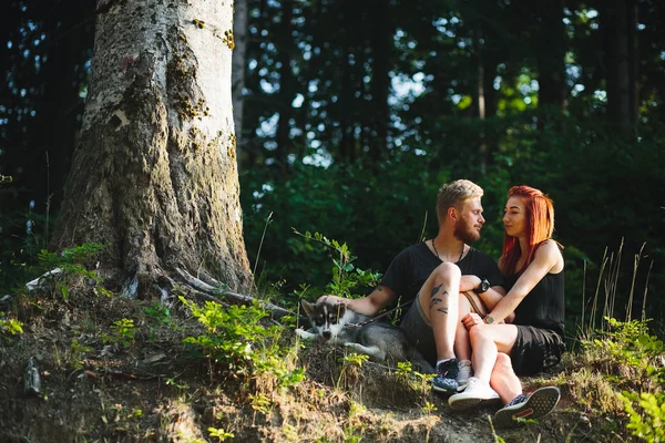 Nádherný pár sedí v lese poblíž stromu — Stock fotografie