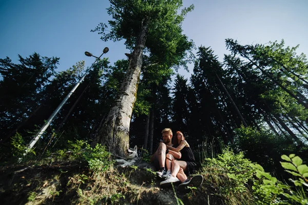 Красивая пара сидит в лесу рядом с деревом — стоковое фото
