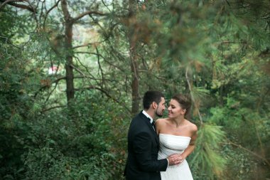 Gelin ve damat dans birlikte ormanda