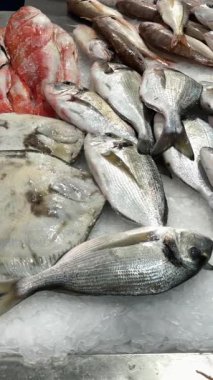 Kırmızımsı balıkla karışık deniz ürünleri görüntüsü, ezilmiş buz, çeşitli renkler, parlak pullar ve yoğun tezgah düzenlemesi üzerine düz balık ve mürekkep balığı.