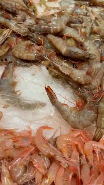 Buza yığılmış gri karides, işleme ve dağıtım için endüstriyel ölçekte malzeme, kabuk ve antenlerin ayrıntılı görünümü,