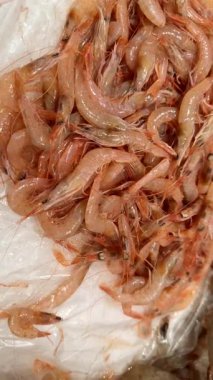 Buzda pembe karides yığını, şeffaf karideslere yakın çekim narin antenli ve parlak kuyruklu satıcı, ideal