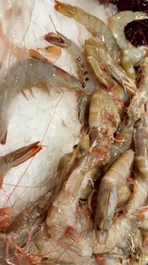 Ezilmiş buz üzerinde parlayan yeşil çiğ karides, kabuk ve anten satıcısının yakın çekim görüntüsü tazelik ve buz parlatıcısı