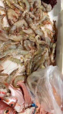 Balıkçı elleri taze karidesleri ezilmiş buz üzerinde sınıflandırıyor. Satıcıya yakın çekim, plastik torba ve görünür piyasa sahnesi