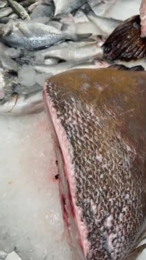 Buzun üzerinde dinlenen morina filetosu, açıkta kalan kemik ve kırmızı doku, ezilmiş buz ve soğuk floresan pazarında tüm balığı çevreleyen balık.