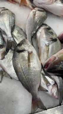 Gümüşten sıralar ve ezilmiş buz, parlak pullar, düzgün düzenleme ve alıcı trafiği ile serin pazar aydınlatma soluk düz