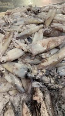 Mürekkep balığı kolları ve dokunaçları görünür enayiler, yakın ritmik desen, ıslak parıltı ve endüstriyel piyasa sayacı ile buza konmuş.