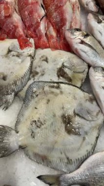 Kırmızı kaya balıkları solgun düz balıkların ve dağılmış mürekkep balıklarının yanına dizildiler, çarpıcı renk kontrastı, nemli pullar ve metalik tezgah.