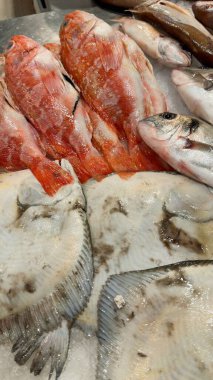 Buza dizilmiş kırmızı balıklar ve yassı balıklar, soluk düz, dokulu pullar ve nemli etler yanında parlak portakallı filetolar, pazar