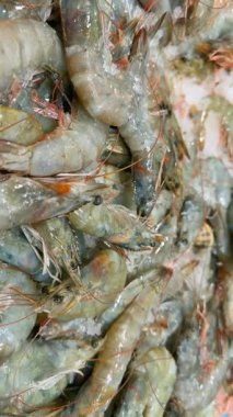 Buzlu taze karideslerin yanında çeşitli midyeler, deniz kestanesi aksanlı karışık kabuklu deniz ürünleri, yoğun deniz ürünleri tezgahı.