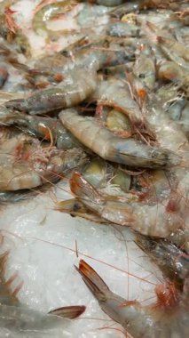 Buz üstünde taze karides, antenlerle parıldayan gri kabuklar, floresan pazarının altında deniz ürünleri tezgahı.