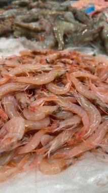 Ezilmiş buz yığınları paketlenmeye hazır, soluk pembe kabuklar, uzun anten, toptan tedarikçi atmosferi.