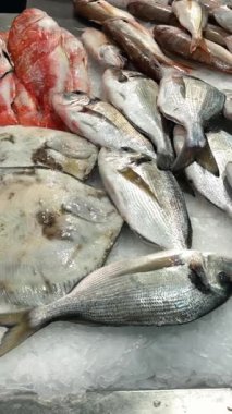 Turbot ve levrek ezilmiş buz üzerinde, açık ve kırmızı filetolar ile karıştırılmış perakende, ışıltılı pullar ve soğutulmuş