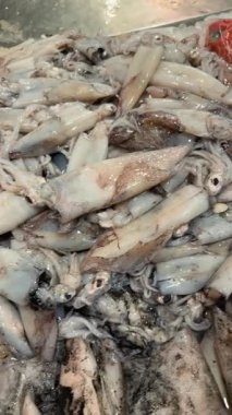 Buzdaki ahtapot dokunaçları, vakum bardakları ve parlak sümüksü tüpler, soğutulmuş toptan yerleşim, dokunsal doku, çiğ deniz.