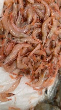 Buz üzerinde küçük pembe karides kümesi, şeffaf vücutlar ve ince bacaklar, deniz ürünleri tezgahında küçük bir yığın, yumuşak.