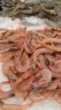 Ezilmiş buz üzerinde karışık pembe karides ve gri karidesler, farklı renkler, değişik kabuk dokuları, alıcı teftiş havası