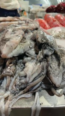 Dokunaçları ve mantoları parlayan taze mürekkep balığı yığını, arka planda satıcılar, şef seçiyor ve temizlikçi işçiler