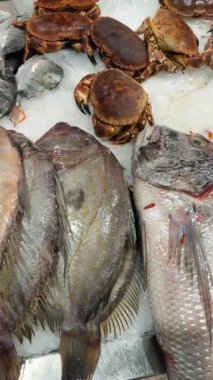 Tuzlu pullar, kabuk dokuları, toptan satış için alıcı örnekleme ve tedarikçi istifleme ile buzda çeşitli balık ve yengeç gösterimi