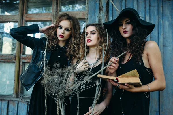 Three vintage women as witches — Stock Photo, Image