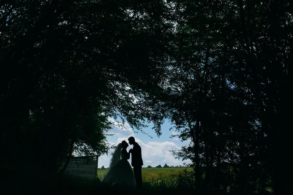 Beautiful wedding couple on nature — Stock Photo, Image
