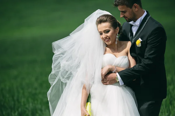 Casal bonito na natureza — Fotografia de Stock